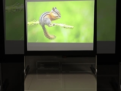 صفحه نمایش پروژکتور تاشو سریع 200 اینچ صفحه نمایش موبایل تاشو سریع برای آموزش، مهمانی، کنسرت