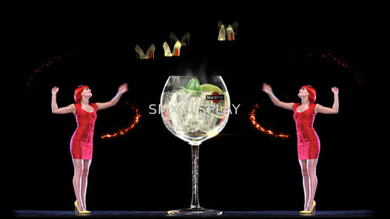 کیفیت Digital Holographic Screen 3D Holographic Projection For 3D Hologram Show کارخانه