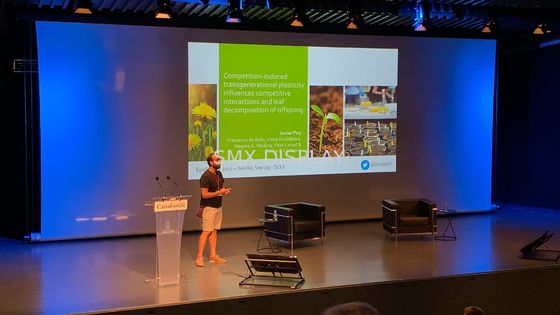 کیفیت صفحه نمایش موتوری بزرگ 350 اینچی با کنترل از راه دور RF کارخانه